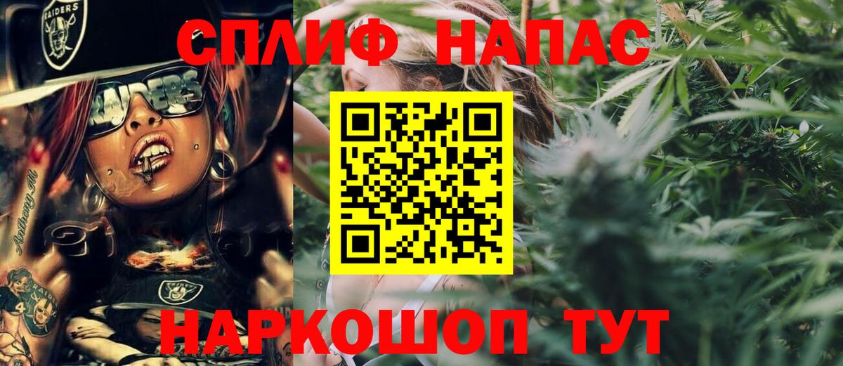 Шишки марихуана тримм  Бошки Шишки семена  Шишки марихуана тримм  Марихуана план  Вход с VPN  Полысаево 